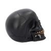 Black Rose from the Dead 15cm Skulls Statues Medium (15cm to 30cm)