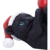 Jingle Paws Cats Out Of Stock