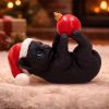 Jingle Paws Cats Out Of Stock