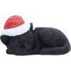 Merry Whiskers Cats Out Of Stock