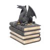 Secrets Of The Dragon 19cm Dragons Year Of The Dragon