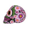 Sugar Petal Skull 14.5cm Skulls Top 200 None Licensed