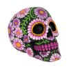 Sugar Petal Skull 14.5cm Skulls Top 200 None Licensed
