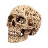 Celtic Decadence 18.5cm Skulls Gifts Under £100