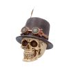 The Aristocrat 18.5cm Skulls Gifts Under £100