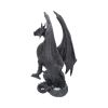 Black Wing 37cm Dragons Drachenfiguren