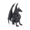 Black Wing 37cm Dragons Drachenfiguren
