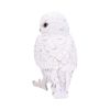 Snowy Watch Large 20cm Owls Gifts Under £100