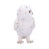 Snowy Watch Small 13.3cm Owls Gifts Under £100
