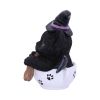 Kit-tea 11.5cm Cats Stock Arrivals