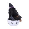Kit-tea 11.5cm Cats Stock Arrivals