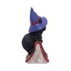 Hocus 12.7cm Cats Gifts Under £100