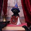 Hocus 12.7cm Cats Gifts Under £100