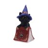 Hocus 12.7cm Cats Gifts Under £100