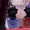 Pocus 12.7cm Cats RRP Under 10