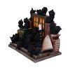 The Witches Litter 24.8cm (Display of 36) Cats Flash Sale Day 4