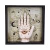Palmistry Companion 20.2cm Palmistry Verkaufte Artikel