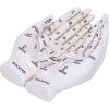 Palmist's Guide (White) 22.3cm Palmistry Verkaufte Artikel