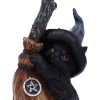 Broom Guard 11.5cm Cats Gifts Under £100