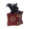 Kitty's Grimoire (Red) 8.2cm Cats Gifts Under £100