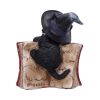 Kitty's Grimoire (Red) 8.2cm Cats Gifts Under £100
