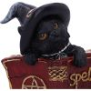 Kitty's Grimoire (Red) 8.2cm Cats Gifts Under £100
