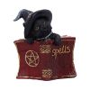 Kitty's Grimoire (Red) 8.2cm Cats Gifts Under £100