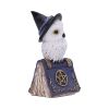 Avian Spell (Blue) 12.5cm Owls Halloween Party