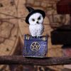Avian Spell (Blue) 12.5cm Owls Halloween Party