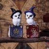 Avian Spell (Blue) 12.5cm Owls Halloween Party