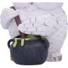 Owl Potion 17.5cm Owls Verkaufte Artikel