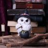 Owl Potion 17.5cm Owls Verkaufte Artikel