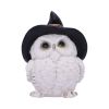 Snowy Spells 9cm Owls Gifts Under £100