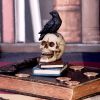 Raven's Spell 10.3cm Ravens RRP Under 10