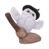 Snowy Flight 13.5cm Owls Gifts Under £100