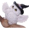 Snowy Flight 13.5cm Owls Gifts Under £100