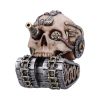 Techno Tank 16cm Skulls Statues Medium (15cm to 30cm)