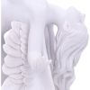 Angels Liberation 26.5cm Angels Spiritual Product Guide