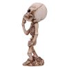 Skeletal Wish 18.5cm Skeletons Halloween Party