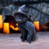 Bewitching 18.5cm Cats Halloween RRP Below 20
