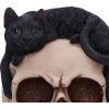 Forever Friend 14.5cm Cats Top 200 None Licensed