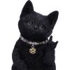 Metallicat 16.5cm Cats Gifts Under £100