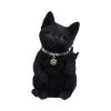 Metallicat 16.5cm Cats Gifts Under £100