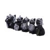Cat Crusaders (Set of 6) 5.5cm Cats Stock Release Spring 2025