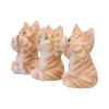 Three Wise Ginger Cats 8.5cm Cats NEMESIS NOW | EASTER SALE