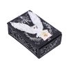 Owl Messenger Box 14cm Owls NEMESIS NOW | EASTER SALE