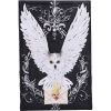 Owl Messenger Box 14cm Owls NEMESIS NOW | EASTER SALE