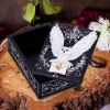 Owl Messenger Box 14cm Owls NEMESIS NOW | EASTER SALE