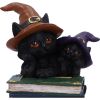 Duo Divination 10cm Cats Hexensabbatwächter