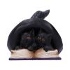 Potion Pair 10.5cm Cats Hexensabbatwächter